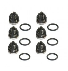 Комплект клапанов для Royal Press (17859) KIT 01