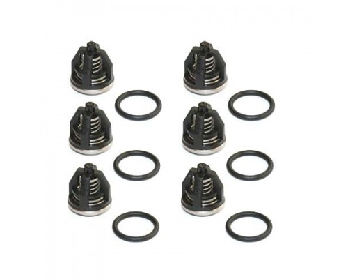 Комплект клапанов для Royal Press (17859) KIT 01