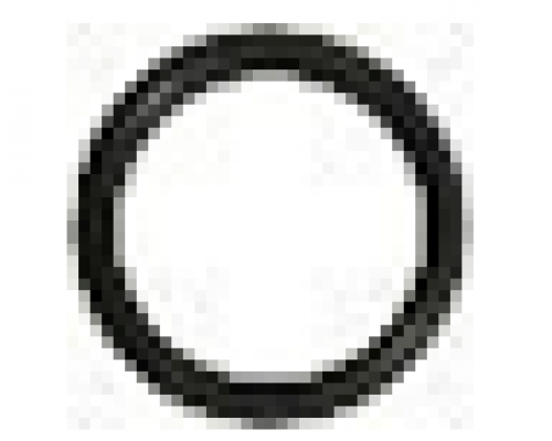 Кольцо заглушки (OS-S) 590101042