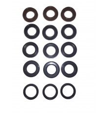 Комплект сальников для ROYAL PRESS Kit 69 ( аналог 34006901)