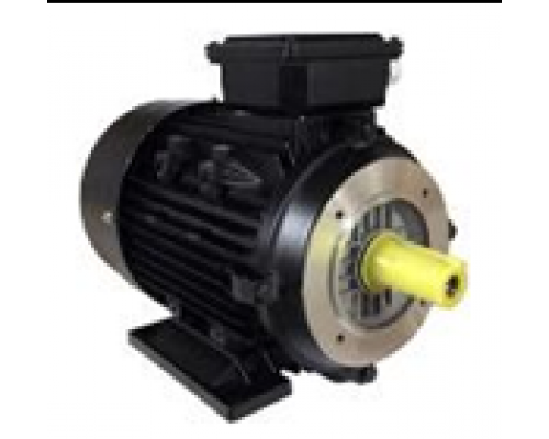 Электродвигатель TOR 112M-4-V (5,5 кВт, 1450 об/мин, Вал 28 мм)