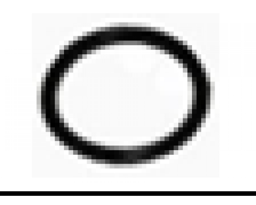 Кольцо уплотнительное нижней боковой заглушки 590101035