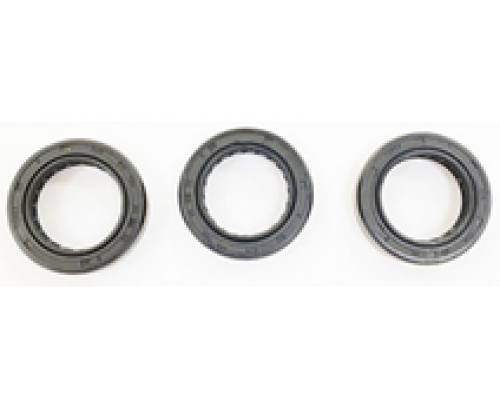 KIT 710 Рем. комплект маслянных сальников для помпы DS 5015