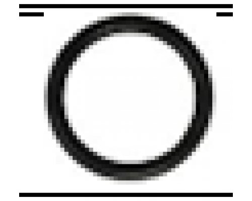 Кольцо уплотнительное регулятора давления	590101021