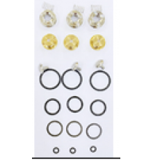 KIT 702 Рем. комплект обратного клапана для помпы DS 1650