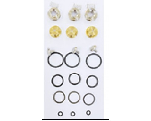 KIT 702 Рем. комплект обратного клапана для помпы DS 1650