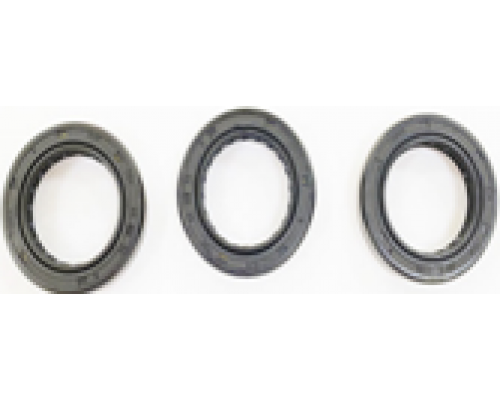 KIT 704 Рем. комплект маслянных сальников для помпы DS 1650