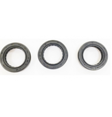 KIT 707 Рем. комплект маслянных сальников для помпы DS 2235