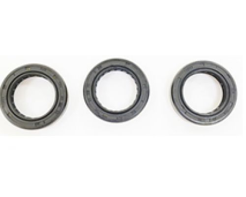 KIT 707 Рем. комплект маслянных сальников для помпы DS 2235