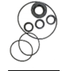 Комплект масляных уплотнений насоса Annovi Reverberi серии RK