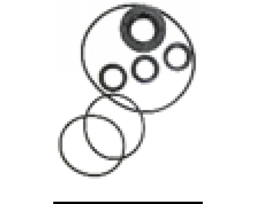 Комплект масляных уплотнений насоса Annovi Reverberi серии RK