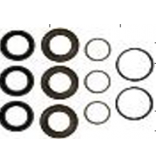 Комплект уплотнений D.18 насоса RC (3 поршня)