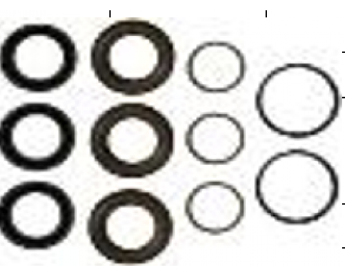 Комплект уплотнений D.18 насоса RC (3 поршня)